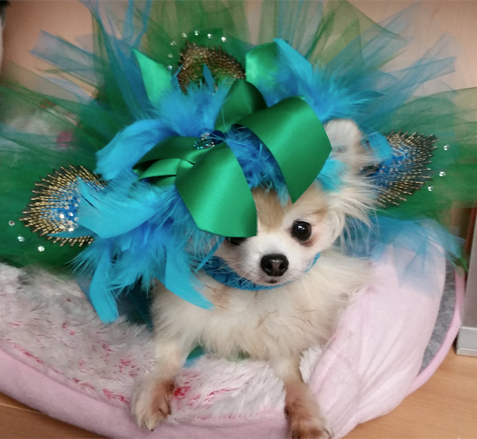 Meet Model BitBit!